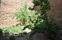 Бай-могила. Май 2012 года