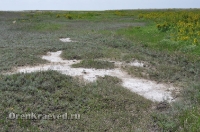 Урочище Сазды. Май 2012 года