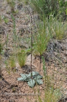 Урочище Сазды. Май 2012 года