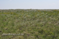 Урочище Сазды. Май 2012 года