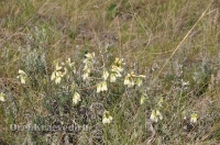 Урочище Сазды. Май 2012 года