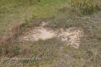 Урочище Сазды. Май 2012 года