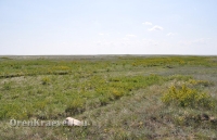 Урочище Сазды. Май 2012 года