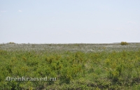 Урочище Сазды. Май 2012 года