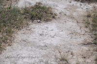 Урочище Сазды. Май 2012 года