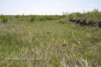 Урочище Сазды. Май 2012 года