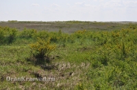 Урочище Сазды. Май 2012 года