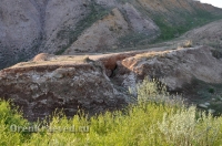 Богоявленский обрыв. Май 2012 года