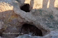 Богоявленский обрыв. Май 2012 года