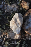 Богоявленский обрыв. Май 2012 года