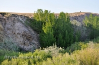 Богоявленский обрыв. Май 2012 года