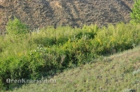 Богоявленский обрыв. Май 2012 года