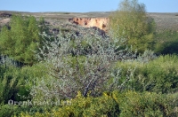 Богоявленский обрыв. Май 2012 года