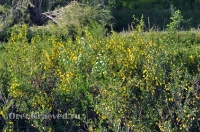 Богоявленский обрыв. Май 2012 года