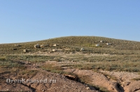 Богоявленский обрыв. Май 2012 года