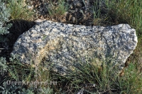 Богоявленский обрыв. Май 2012 года