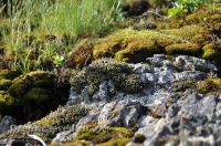 Камсакское ущелье. 2012 год