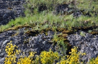 Камсакское ущелье. 2012 год