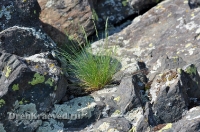 Камсакское ущелье. 2012 год