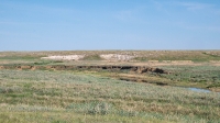 Приушкатинская комплексная степь. Май 2021 года