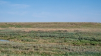 Приушкатинская комплексная степь. Май 2021 года