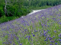 Гора Палатка (Палаточная)