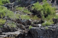 Проран-водосброс Кумакского водохранилища