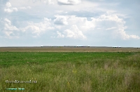 Джабыгинская степь. Июнь 2025 года