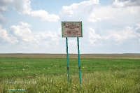 Джабыгинская степь. Июнь 2025 года