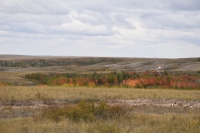 Кумакские лески