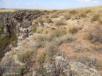 Марьин утес. Август 2023 года