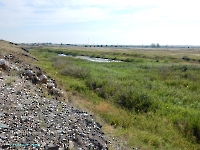 Тыкашинская толща. Август 2023 года