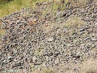 Тыкашинская толща. Август 2023 года