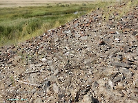 Тыкашинская толща. Август 2023 года