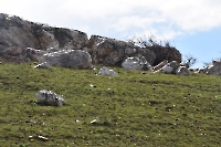 Верблюжья горка