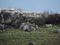 Верблюжья горка