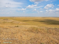 Гора Бистюбе. Август 2023 года