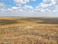 Гора Бистюбе. Август 2023 года