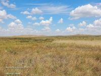 Гора Бистюбе. Август 2023 года