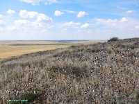 Гора Бистюбе. Август 2023 года