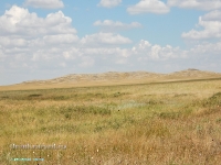 Гора Бистюбе. Август 2023 года