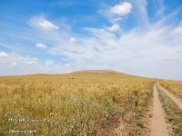 Гора Бистюбе. Август 2023 года