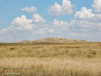 Гора Бистюбе. Август 2023 года