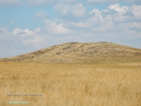 Гора Бистюбе. Август 2023 года