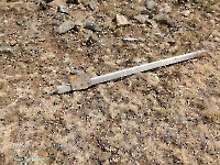 Гора Бистюбе. Август 2023 года