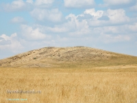 Гора Бистюбе. Август 2023 года