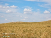 Гора Бистюбе. Август 2023 года