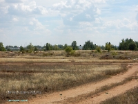 Заячья роща. Август 2023 года