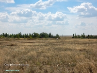 Заячья роща. Август 2023 года