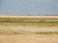 Озеро Жандыколь (Джандескуль). Август 2023 года